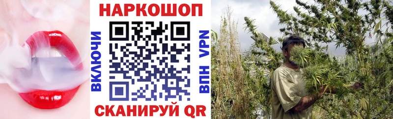 Где продают наркотики Борисоглебск Псилоцибиновые грибы  МЕФ  Каннабис  СОЛЬ  АМФ 