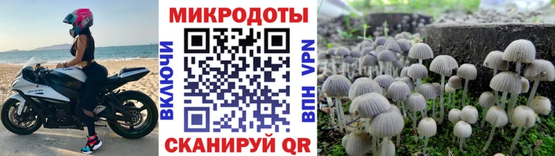 Галлюциногенные грибы MAGIC MUSHROOMS  Борисоглебск 